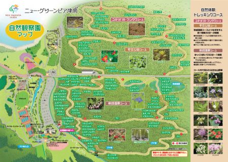 自然観察トレッキングコース