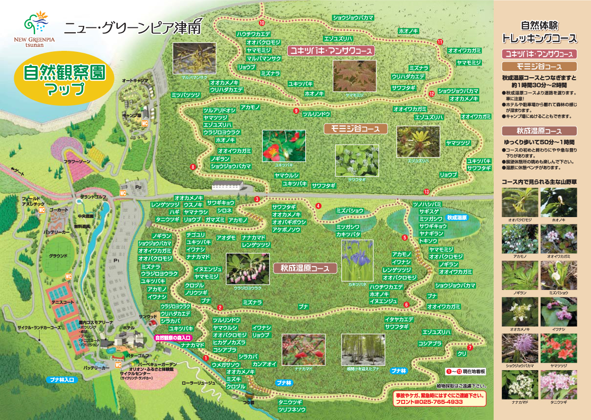 自然観察トレッキングコース