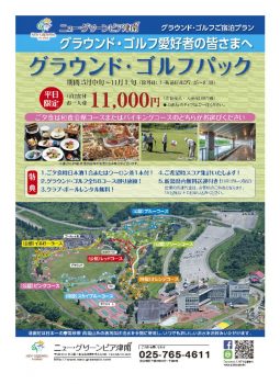 2020グラウンドゴルフプラン_compressedのサムネイル