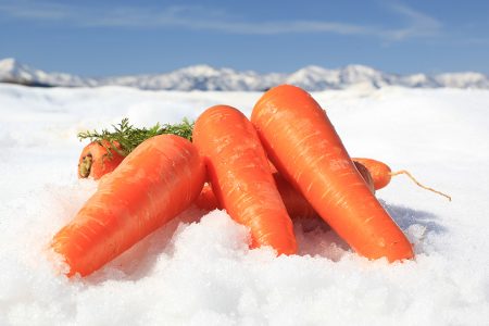 送料込！津南高原ゆめファーム 雪下人参（予約販売）