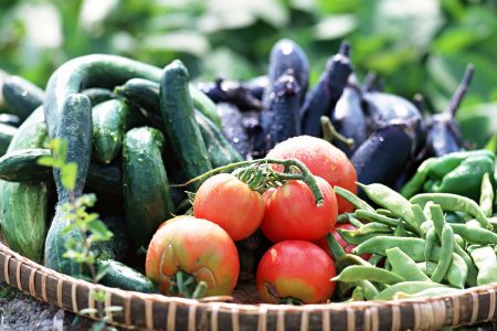 送料込！旬の厳選津南夏野菜セット4～5kg（予約販売）
